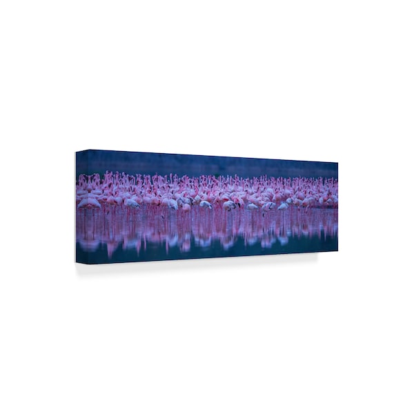 David Hua 'Flamingos' Canvas Art,8x24